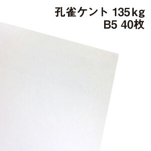EPg 135kg B5 40|p Pg 