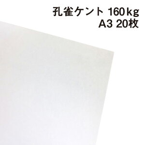 EPg 160kg A3 20|p Pg 