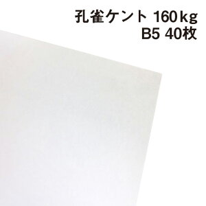 EPg 160kg B5 40|p Pg 