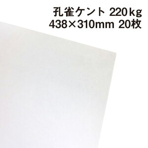 孔雀ケント 220kg A3ワイド 20枚|画用紙 ケント紙 画材