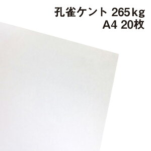 EPg 265kg A4 20|p Pg 