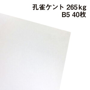 EPg 265kg B5 40|p Pg 