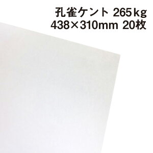 孔雀ケント 265kg A3ワイド 20枚|画用紙 ケント紙 画材