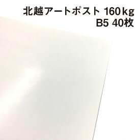 北越 特アートポスト 160kg B5 40枚|厚手の紙 カタログ 冊子 カード ポストカード 絵はがき 卓上POP パッケージ