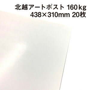 北越 特アートポスト 160kg 438×310mm 20枚|厚手の紙 カタログ 冊子 カード ポストカード 絵はがき 卓上POP パッケージ