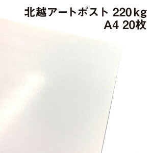 北越 特アートポスト 220kg A4 20枚|厚手の紙 カタログ 冊子 カード ポストカード 絵はがき 卓上POP パッケージ