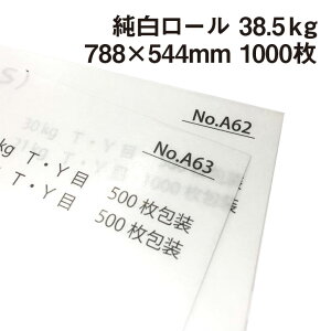 [ 38.5kg 788×544mm 1000| F  ܗp ߂J_[