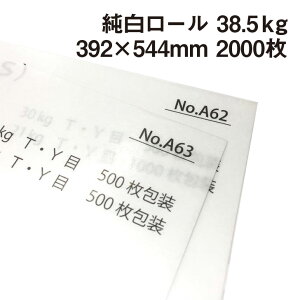[ 38.5kg B3Ch 2000| F  ܗp ߂J_[