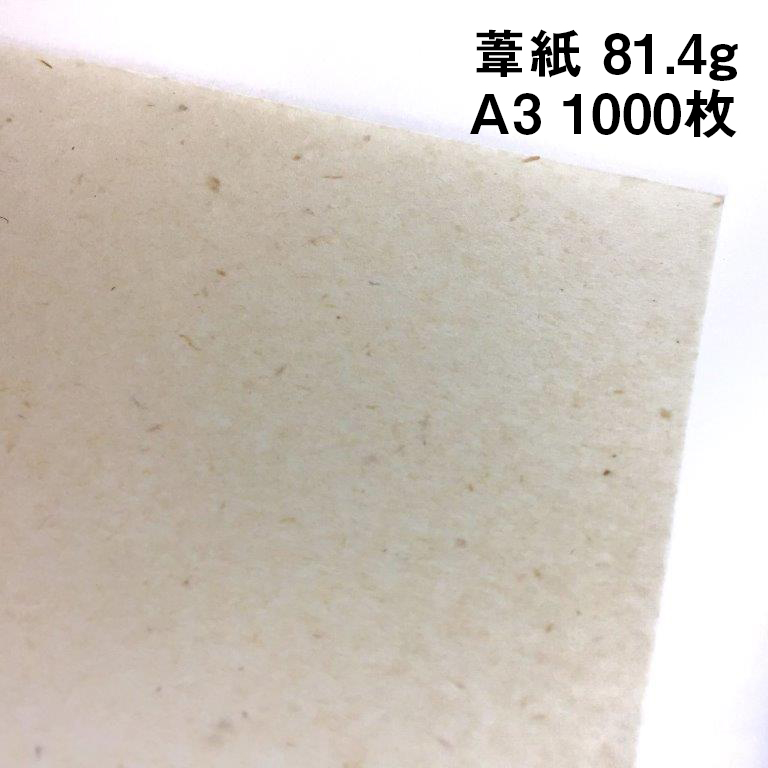 葦紙 81.4g A3 1000枚|非木材紙 環境対応 ナチュラル インクジェットプリンター対応