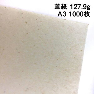  127.9g A31000|؍ގ Ή i` CNWFbgv^[Ή
