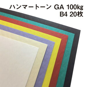 n}[g[GA 100kg B4 20|S50F1FI G{X  ł͗l _ʉ Jt