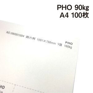 PHO 90kg A4 100|hHp Photograph i` v[ X[X veBOt@V[ J[h ؏