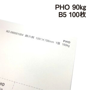 PHO 90kg B5 100|hHp Photograph i` v[ X[X veBOt@V[ J[h ؏