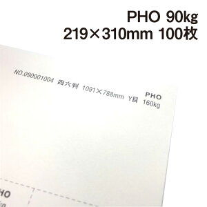 PHO 90kg A4Ch 100|hHp Photograph i` v[ X[X veBOt@V[ J[h ؏