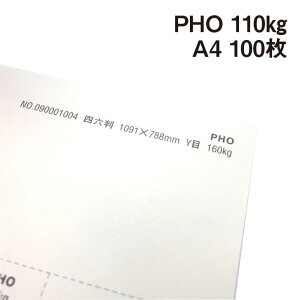 PHO 110kg A4 100|hHp Photograph i` v[ X[X veBOt@V[ J[h ؏
