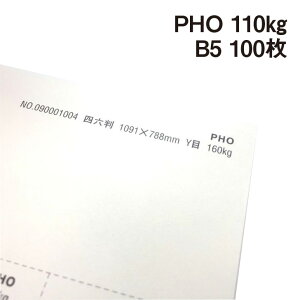 PHO 110kg B5 100|hHp Photograph i` v[ X[X veBOt@V[ J[h ؏