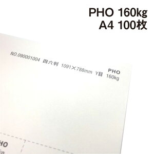 PHO 160kg A4 100|hHp Photograph i` v[ X[X veBOt@V[ J[h ؏