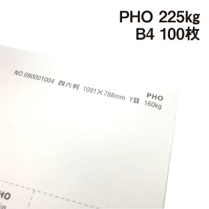 PHO 225kg B4 100|hHp Photograph i` v[ X[X veBOt@V[ J[h ؏