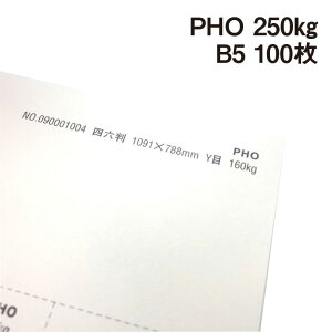 PHO 250kg B5 100|hHp Photograph i` v[ X[X veBOt@V[ J[h ؏