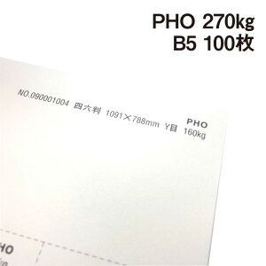 PHO 270kg B5 100|hHp Photograph i` v[ X[X veBOt@V[ J[h ؏