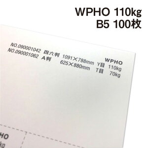 WPHO 110kg B5 100|hHp White Photograph v[ X[X veBOt@V[ J[h ؏