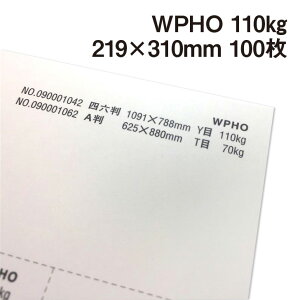 WPHO 110kg A4Ch 100|hHp White Photograph v[ X[X veBOt@V[ J[h ؏