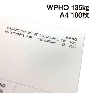WPHO 135kg A4 100|hHp White Photograph v[ X[X veBOt@V[ J[h ؏
