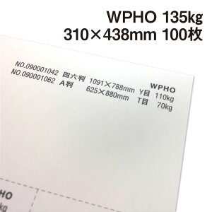 WPHO 135kg A3Ch 100|hHp White Photograph v[ X[X veBOt@V[ J[h ؏