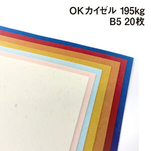 OKJC[ 195kg B5 20|S2F i`ȕ [F ӂ Jt Ђ @ uh t t@V[y[p[