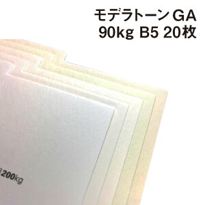 fg[GA 90kg B5 20|S6F1FI t hH ꎆ ₩ȕ ʉ  Xm[ ACX zCg sA i` VL[