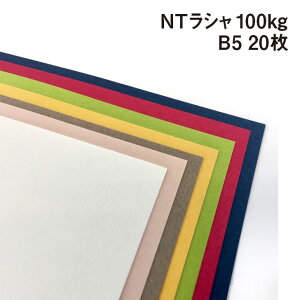 NTV 100kg B5 20|S120F1FI t Ή  _炩G Rbgz |X^[ y[p[Ntg h J[h 