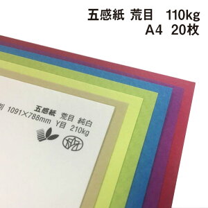 ܊ r 110kg A4 20|S38F1FI tFgt@V[y[p[ G{X ꎆ ʉ