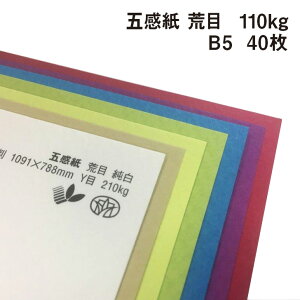 ܊ r 110kg B5 40|S38F1FI tFgt@V[y[p[ G{X ꎆ ʉ