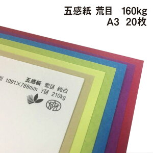 ܊ r 160kg A3 20|S38F1FI tFgt@V[y[p[ G{X ꎆ ʉ