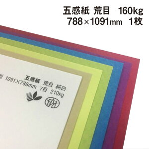 ܊ r 160kg 788×1091mm 1|S38F1FI tFgt@V[y[p[ G{X ꎆ ʉ