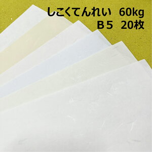 Ăꂢ(ЖʉH) B5(182×257mm) 60kg(0.11mm)1F 20|S3F1FI a    Ԃ 玆 ap
