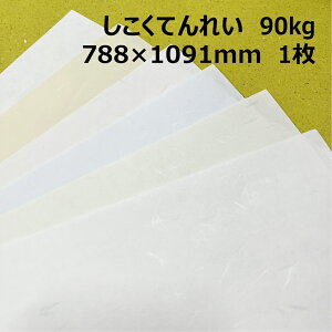 yyVX[p[SALE|Cg10{zĂꂢ(ЖʉH) 788×1091mm 90kg(0.15mm)1F 1|S3F1FI 玆 ap a   ʐ^wi pbP[W