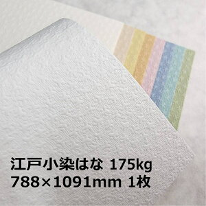 yyVX[p[SALE|Cg10{z]ˏ͂ 175kg 788×1091mm 1|S9F1FI ʐ^Be iBe wi a ԕ