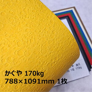 yyVX[p[SALE|Cg10{z 170kg 788×1091mm 1|S10F1FI ʐ^Be iBe wi a ̃N[^?