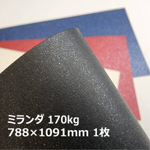 ~_ 170kg 788×1091mm 1|S5F1FI ʐ^Be iBe wi LL KXt[N