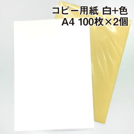 コピー用紙 白+色 A4 100枚×2個|コピーペーパー ついで買いにオススメに!