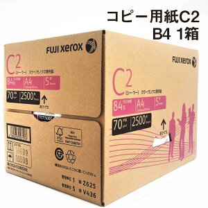 Rs[p C2 B4 1|500×5 [J[i FSCFؕi J[ mNp V[c?