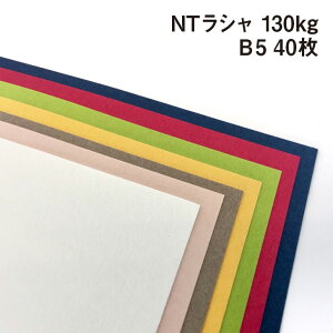 NTV 130kg B5 40|S76F1FI t Ή  _炩G Rbgz |X^[ y[p[Ntg h J[h 