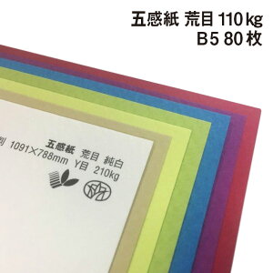 ܊ r 110kg B5 80|S38F1FI tFgt@V[y[p[ G{X ꎆ ʉ