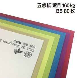 五感紙 荒目 160kg B5 80枚