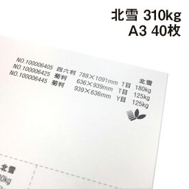 北雪 310kg A3 40枚