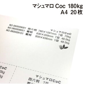 }V}Coc 180kg A4 20|F  ItZbg CNWFbg hH }`y[p[ h lD i^O Ə؏p