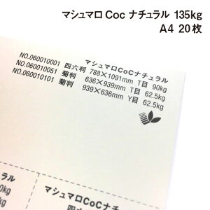 }V}Coc i` 135kg A4 20|i`J[  ItZbg CNWFbg hH }`y[p[ h lD i^O Ə؏p