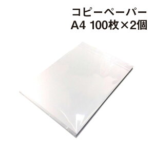 Rs[y[p[ A4 100×2|PPCp Rs[p