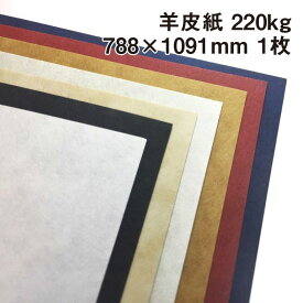 楽天市場 商品撮影 背景紙の通販